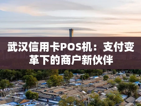 重庆武汉信用卡POS机：支付变革下的商户新伙伴
