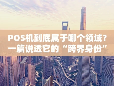 重庆POS机到底属于哪个领域？一篇说透它的“跨界身份”