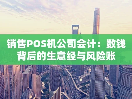 重庆销售POS机公司会计：数钱背后的生意经与风险账