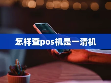 重庆怎样查pos机是一清机