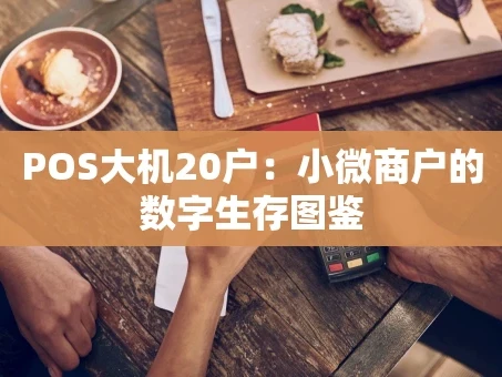 重庆POS大机20户：小微商户的数字生存图鉴