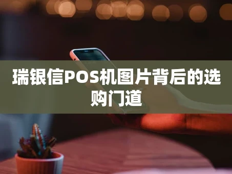 重庆瑞银信POS机图片背后的选购门道