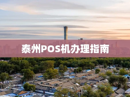 重庆泰州POS机办理指南
