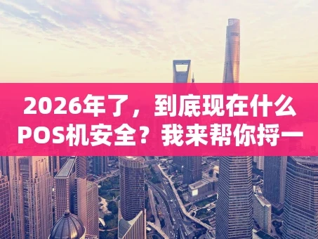 重庆2026年了，到底现在什么POS机安全？我来帮你捋一捋