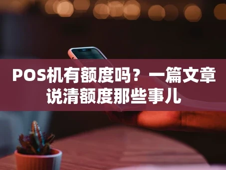 重庆POS机有额度吗？一篇文章说清额度那些事儿