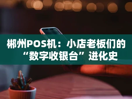重庆郴州POS机：小店老板们的“数字收银台”进化史