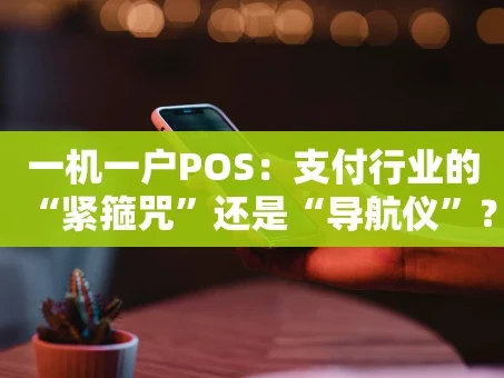 重庆一机一户POS：支付行业的“紧箍咒”还是“导航仪”？