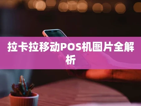 重庆拉卡拉移动POS机图片全解析