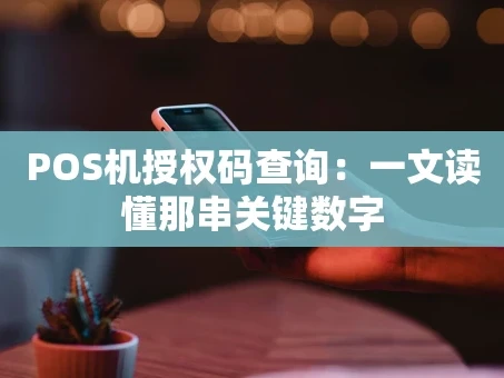 重庆POS机授权码查询：一文读懂那串关键数字