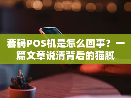 重庆套码POS机是怎么回事？一篇文章说清背后的猫腻