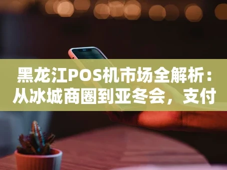 重庆黑龙江POS机市场全解析：从冰城商圈到亚冬会，支付便利如何升级？