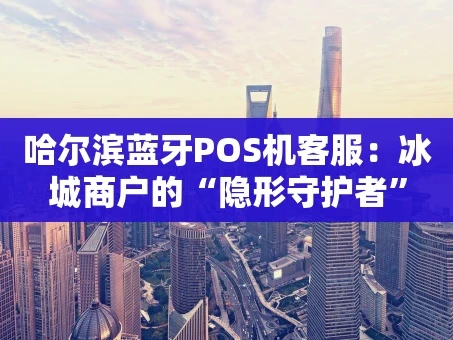 重庆哈尔滨蓝牙POS机客服：冰城商户的“隐形守护者”