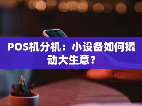 重庆POS机分机：小设备如何撬动大生意？