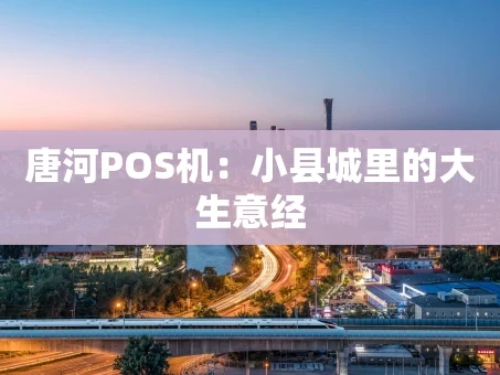 重庆唐河POS机：小县城里的大生意经