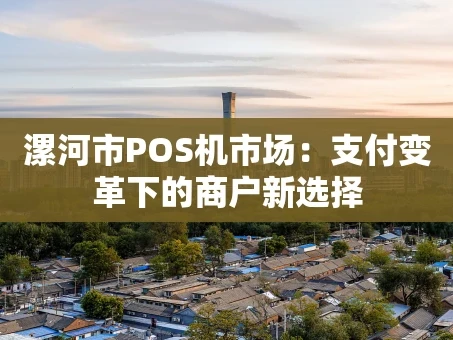 重庆漯河市POS机市场：支付变革下的商户新选择