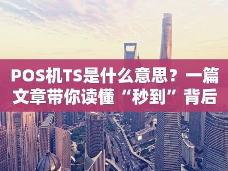 重庆POS机TS是什么意思？一篇文章带你读懂“秒到”背后的门道