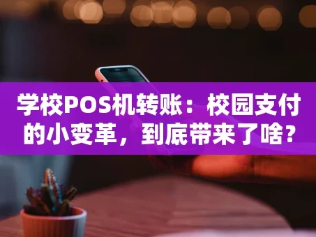 重庆学校POS机转账：校园支付的小变革，到底带来了啥？