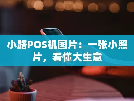 重庆小路POS机图片：一张小照片，看懂大生意