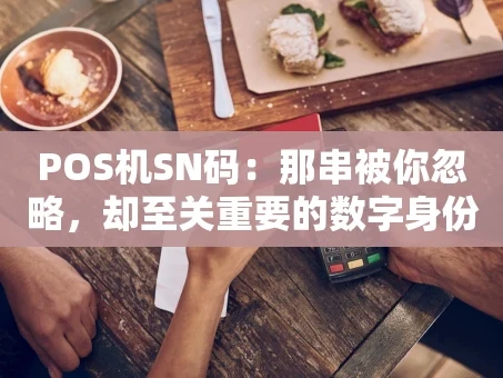 重庆POS机SN码：那串被你忽略，却至关重要的数字身份证