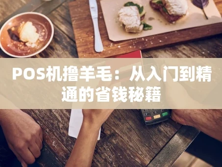 重庆POS机撸羊毛：从入门到精通的省钱秘籍