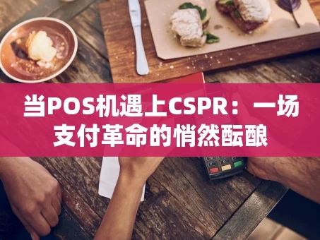 重庆当POS机遇上CSPR：一场支付革命的悄然酝酿