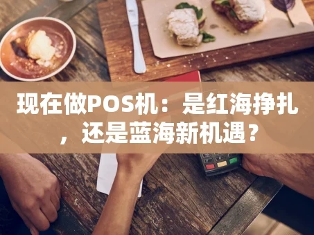 重庆现在做POS机：是红海挣扎，还是蓝海新机遇？