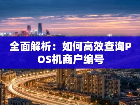 重庆全面解析：如何高效查询POS机商户编号