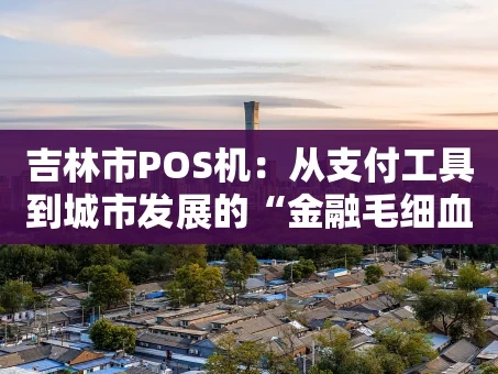 重庆吉林市POS机：从支付工具到城市发展的“金融毛细血管”