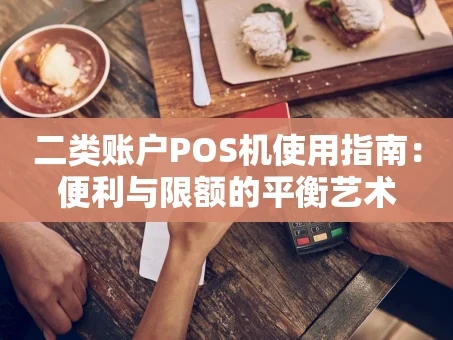 重庆二类账户POS机使用指南：便利与限额的平衡艺术