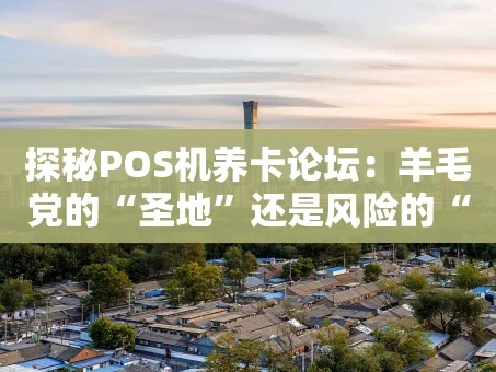 重庆探秘POS机养卡论坛：羊毛党的“圣地”还是风险的“沼泽地”？