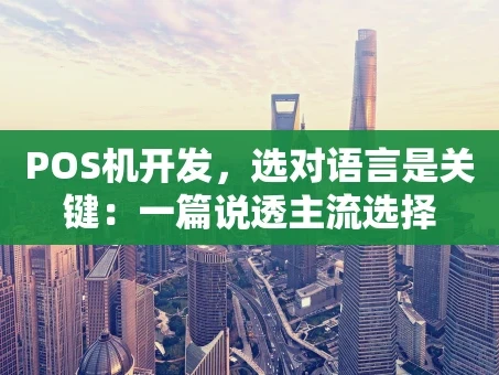 重庆POS机开发，选对语言是关键：一篇说透主流选择