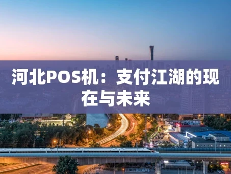 重庆河北POS机：支付江湖的现在与未来