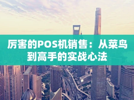 重庆厉害的POS机销售：从菜鸟到高手的实战心法