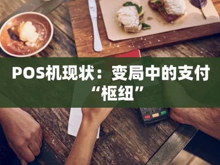 重庆POS机现状：变局中的支付“枢纽”