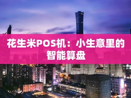 重庆花生米POS机：小生意里的智能算盘