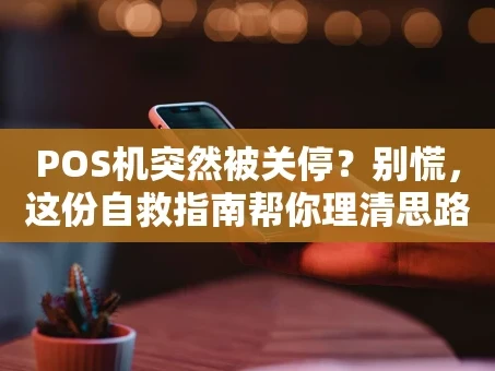 重庆POS机突然被关停？别慌，这份自救指南帮你理清思路