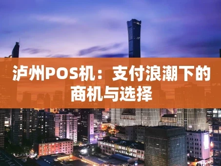 重庆泸州POS机：支付浪潮下的商机与选择