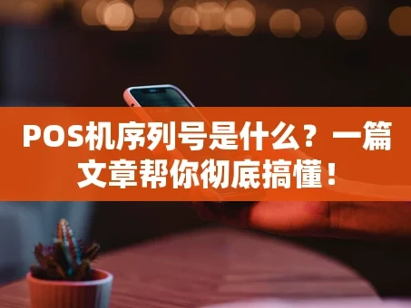 重庆POS机序列号是什么？一篇文章帮你彻底搞懂！
