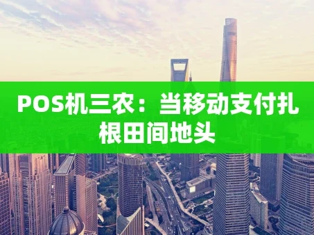 重庆POS机三农：当移动支付扎根田间地头