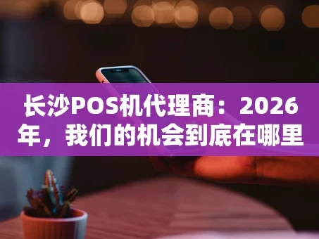 重庆长沙POS机代理商：2026年，我们的机会到底在哪里？