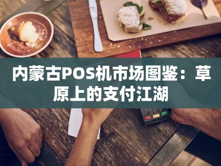 重庆内蒙古POS机市场图鉴：草原上的支付江湖
