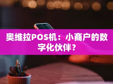 重庆奥维拉POS机：小商户的数字化伙伴？