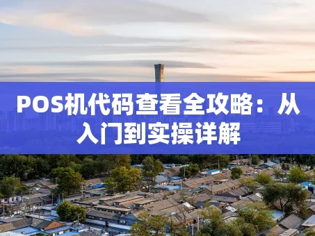 重庆POS机代码查看全攻略：从入门到实操详解