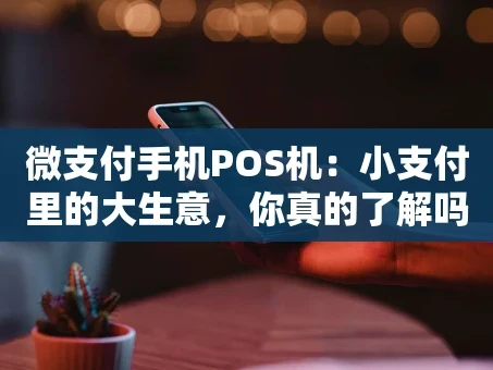 重庆微支付手机POS机：小支付里的大生意，你真的了解吗？