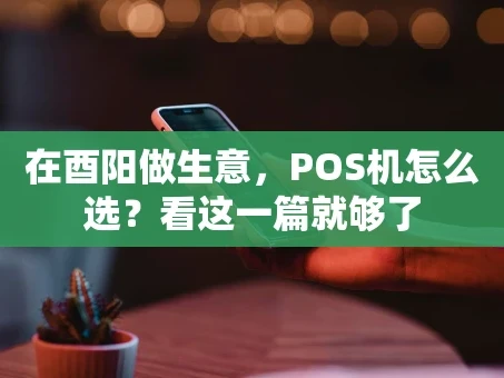 重庆在酉阳做生意，POS机怎么选？看这一篇就够了