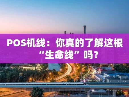 重庆POS机线：你真的了解这根“生命线”吗？