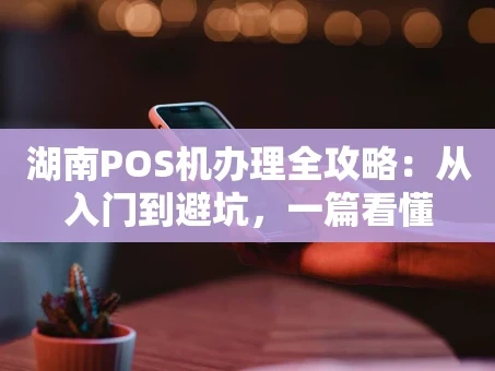 重庆湖南POS机办理全攻略：从入门到避坑，一篇看懂