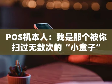 重庆POS机本人：我是那个被你扫过无数次的“小盒子”