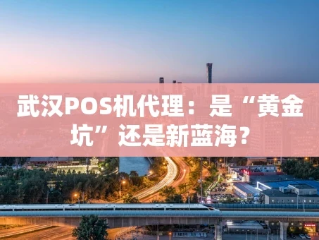 重庆武汉POS机代理：是“黄金坑”还是新蓝海？