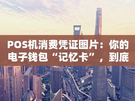 重庆POS机消费凭证图片：你的电子钱包“记忆卡”，到底有多重要？
